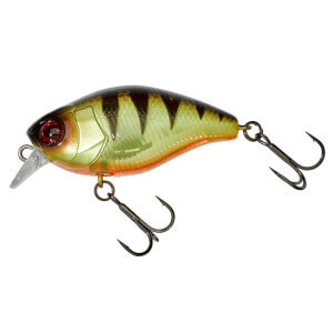 Wobler ILLEX Magnum Chubby 50, Angry Perch