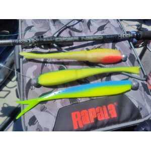 Obrázek 4 k Pěnové nástrahy APS Slug 210 mm, Foam Lure, Set-2