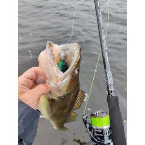 Obrázek 4 k Pěnové nástrahy APS Slug 210 mm, Foam Lure, Set-1