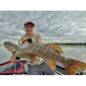 Obrázek 7 k Pěnová nástraha APS Jig Head 175 mm, Foam Lure, 220