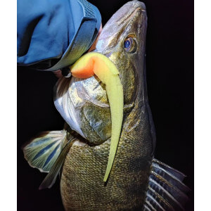 Obrázek 2 k Pěnová nástraha APS Jig Head 175 mm, Foam Lure, 216UV