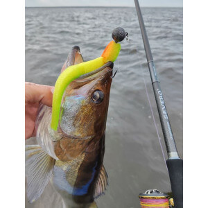 Obrázek 3 k Pěnová nástraha APS Jig Head 175 mm, Foam Lure, 216UV