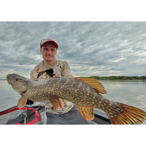 Obrázek 3 k Pěnová nástraha APS Jig Head 175 mm, Foam Lure, 215UV