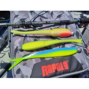Obrázek 2 k Pěnová nástraha APS Jig Head 250 mm, Foam Lure, Set-2