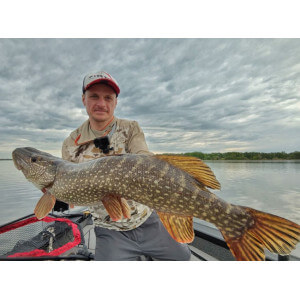 Obrázek 4 k Pěnová nástraha APS Jig Head 250 mm, Foam Lure, Set-2