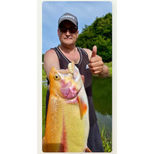 Obrázek 5 k Larva HARMONY BAITS Apod Fat, Cheese, 32 mm, 9 ks