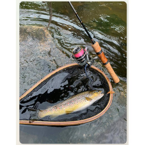 Obrázek 6 k Nástraha HARMONY BAITS T-Fat, Cheese, 65 mm, 7 ks