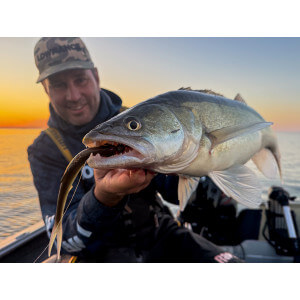 Obrázek 2 k Smáčik KUORE Phantom, Dark Perch