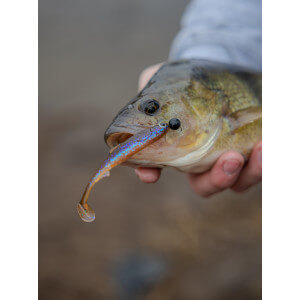 Obrázek 9 k Kopyto KUORE Recoil, Electric Shad