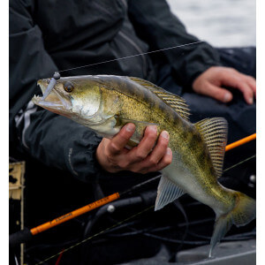 Obrázek 5 k Nástraha KUORE Torpedo 9 cm, Silver Ayu, 3 ks