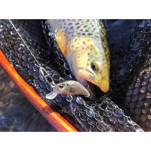 Obrázek 4 k Wobler DUO Spearhead Ryuki 50S, Lime Yamame OB