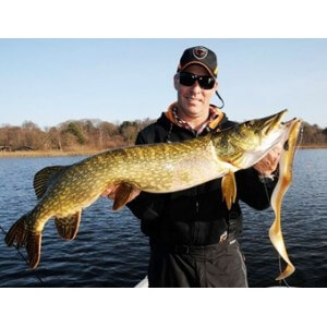 Obrázek 3 k Nástraha SAVAGE GEAR Real Eel - 40cm