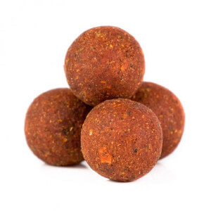 Obrázek 2 k Boilie MIKBAITS Spiceman Chilli Squid, 1kg, 24mm