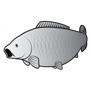 Nálepka SILVER silueta Kapr