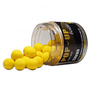 Obrázek 7 k Boilie CARP INFERNO Pop Up 16mm