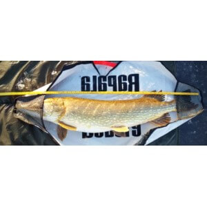 Obrázek 2 k Podložka RAPALA Weig Sling Bag