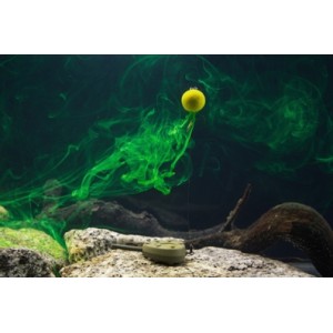 Obrázek 5 k Boilie Tandem Baits Method Feeder Diffusion Micro Pop Up
