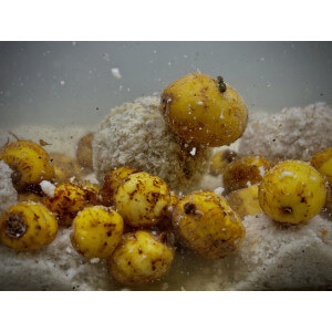 Obrázek 2 k Boilie LK BAITS Nutrigo Balanc Particle Tiger Nuts