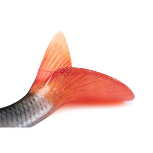 Obrázek 4 k Nástraha FOX Rage Ultra Realistic Roach Replicant