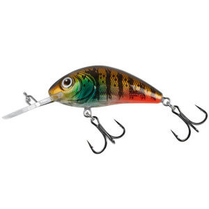 Wobler SALMO Rattlin Hornet Floating, Hot Gill Clear