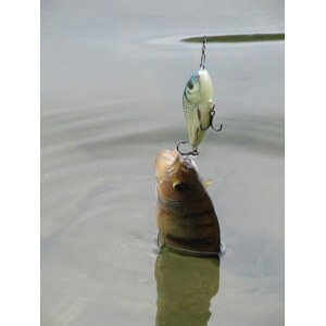 Obrázek 3 k Wobbler SALMO Slider 12F