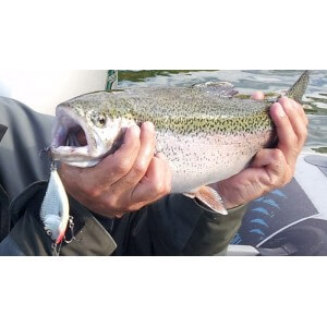 Obrázek 4 k Wobbler SALMO Slider 12F
