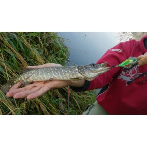 Obrázek 5 k Wobbler SALMO Slider 12F