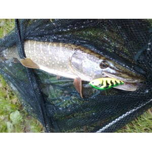 Obrázek 6 k Wobbler SALMO Slider 12F