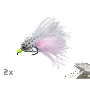 Obrázek 4 k Sada umělých mušek DELPHIN Fly, Wild Trout