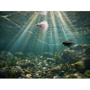 Obrázek 8 k Sada umělých mušek DELPHIN Fly, Wild Trout