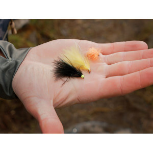 Obrázek 10 k Sada umělých mušek DELPHIN Fly, Pond Trout