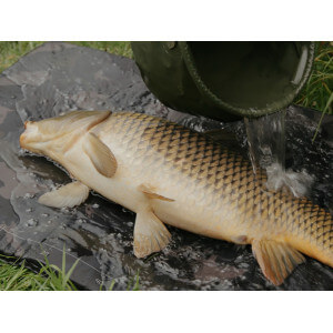 Obrázek 11 k Podložka DELPHIN CarpMat Banx Camo