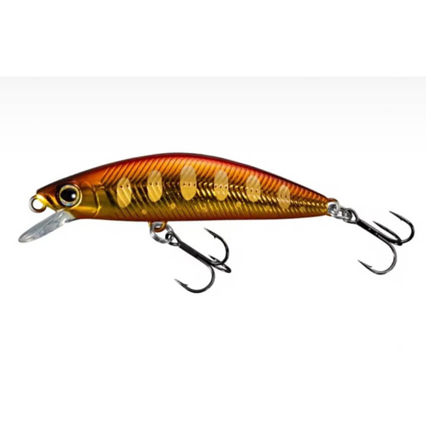 SHIMANO Cardiff Folletta 50SS, Gold Yamame