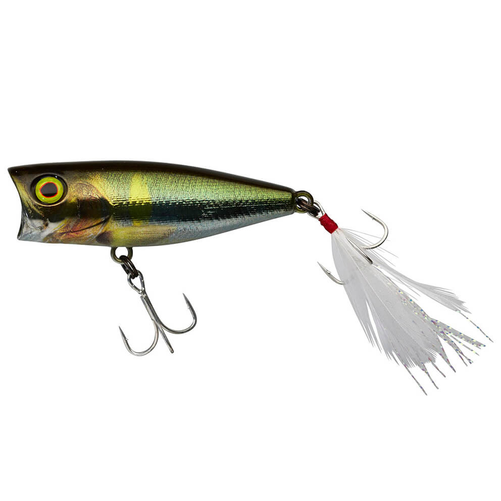 SK-Pop 5,3 cm, RT Waka Ayu
