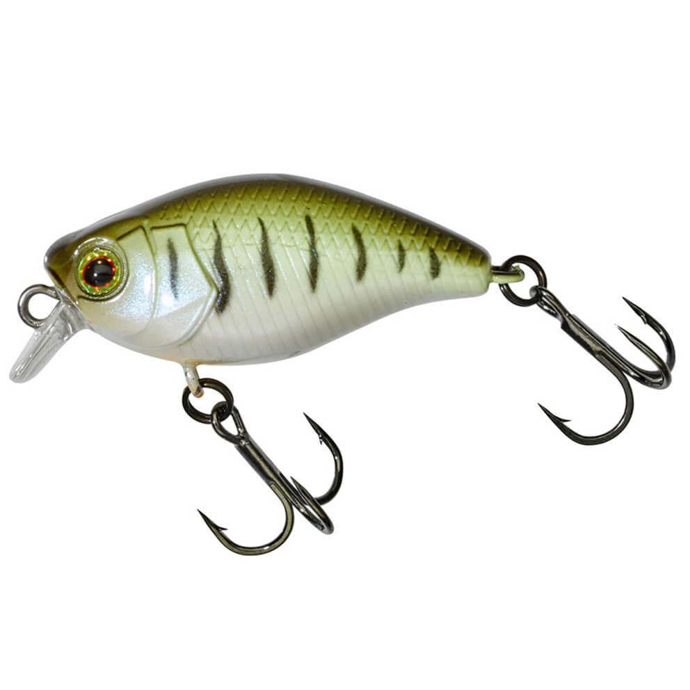 Chubby Micro 30, Vairon