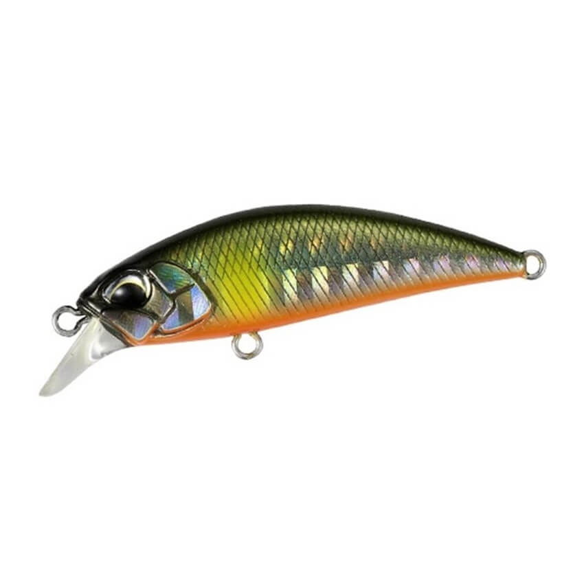 DUO Spearhead Ryuki 38S, Ayu OB