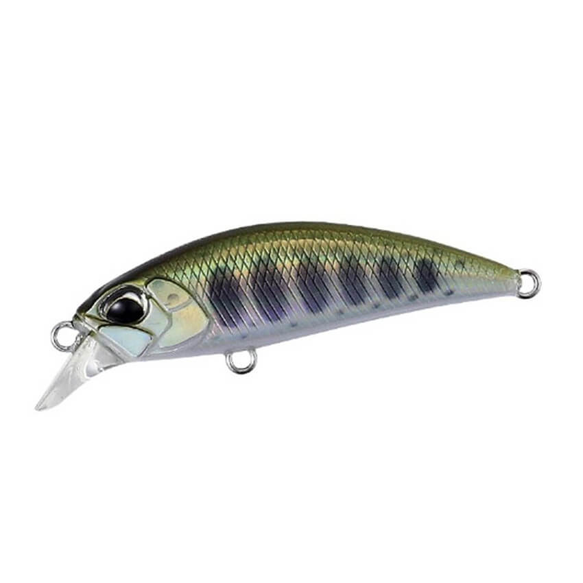 DUO Spearhead Ryuki 38S, Yamame