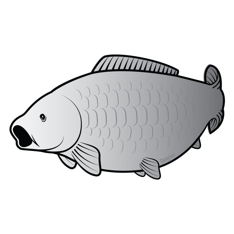 Nálepka SILVER silueta Kapr