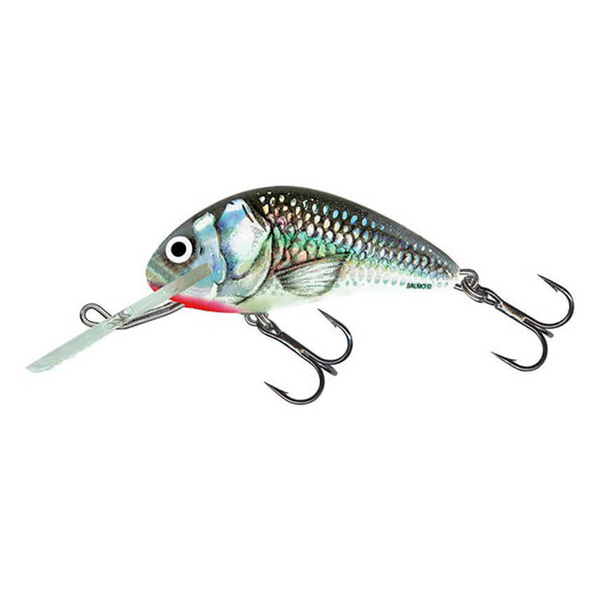 SALMO Hornet 4S, Holographic Grey Shiner