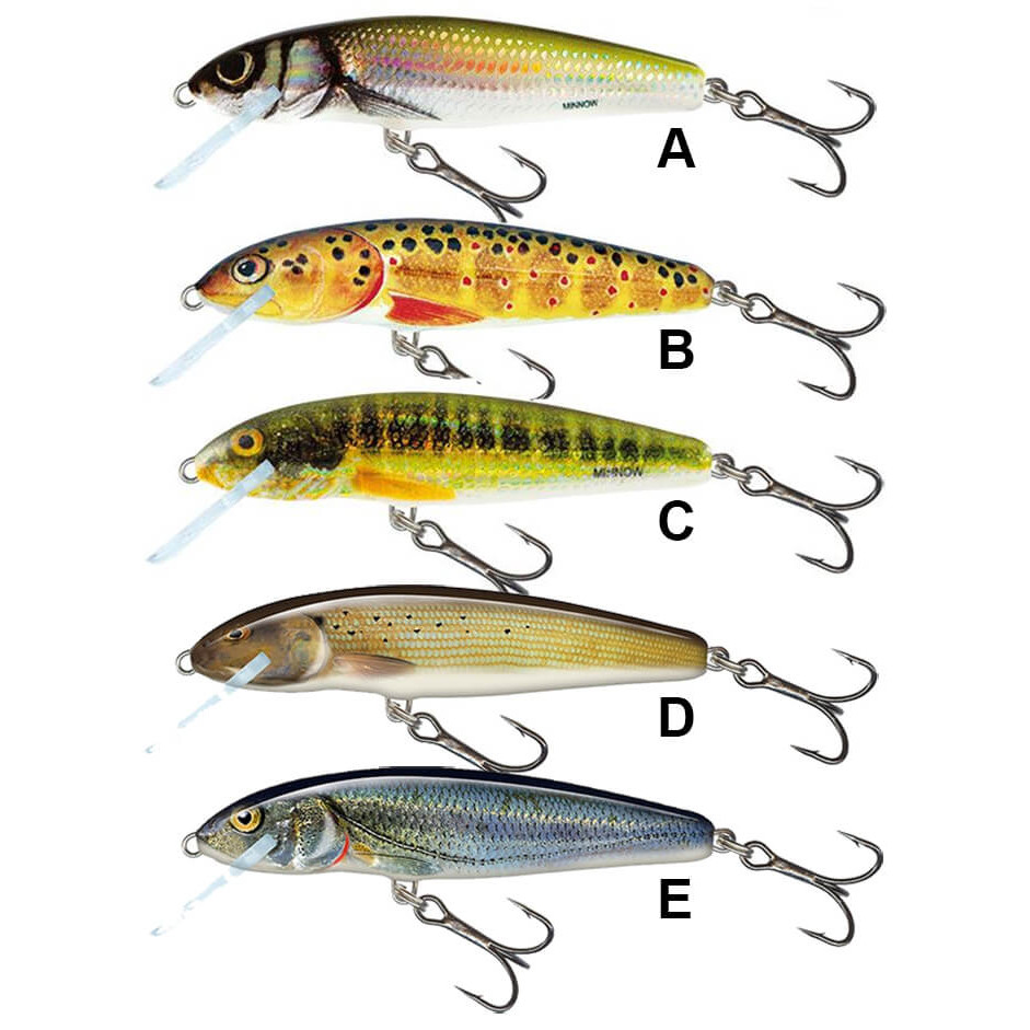 SALMO Minnow 5F E Spirlin