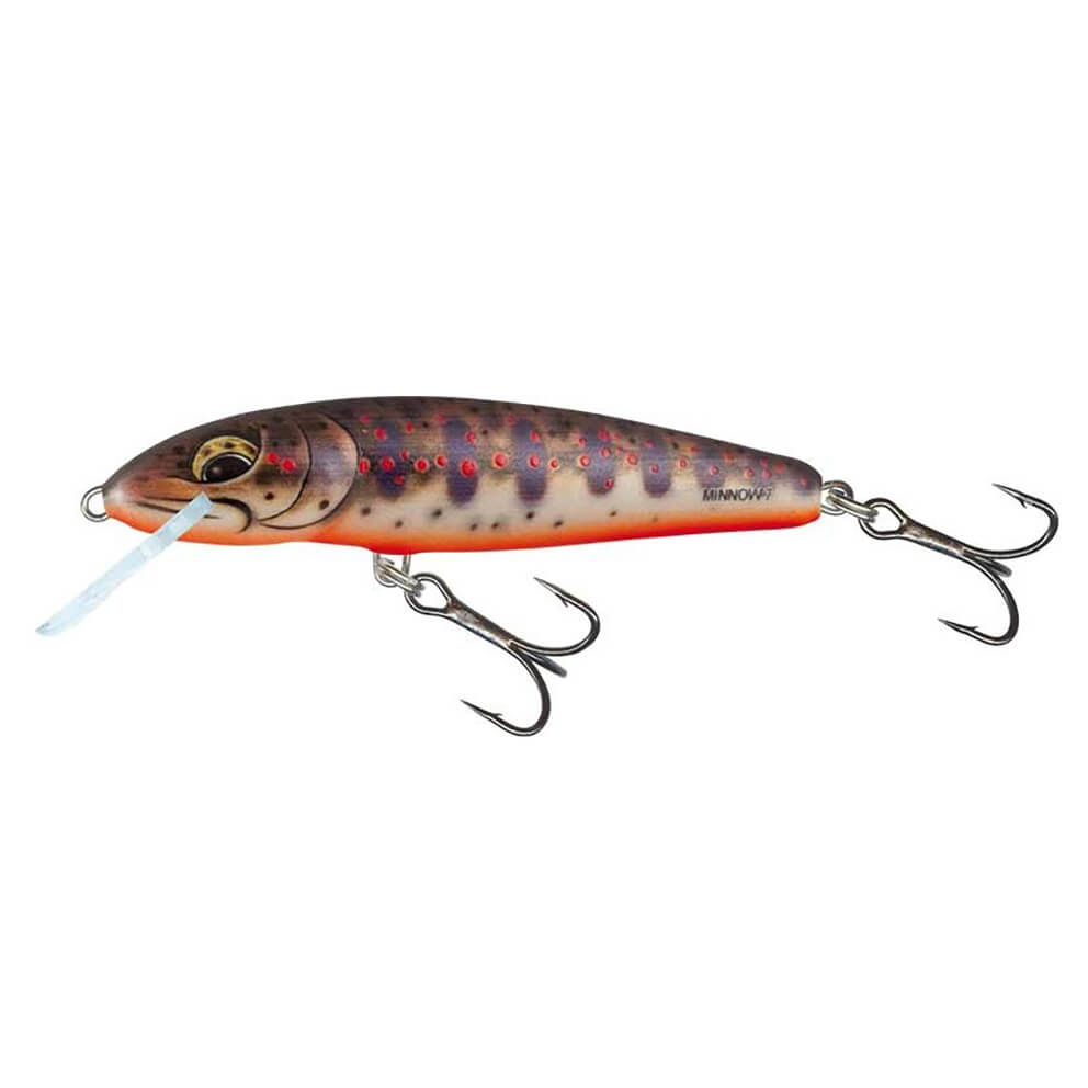 SALMO Minnow Floating Fresh Water Minnow, 6 cm