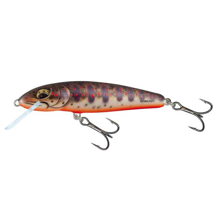SALMO Minnow Sinking Fresh Water Minnow, 6 cm