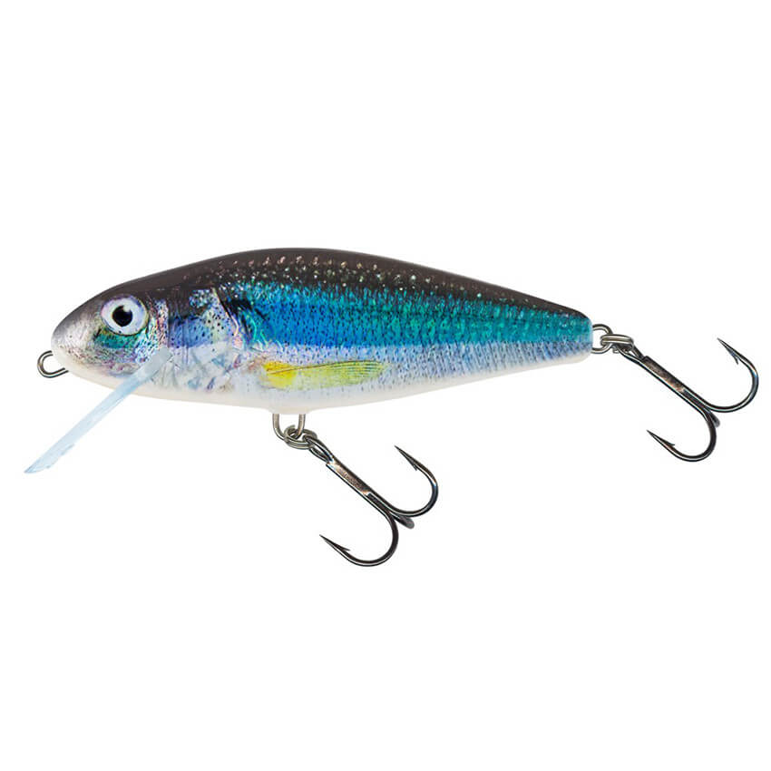SALMO Perch Floating, 8 cm, Holo Smelt