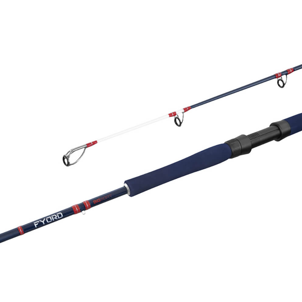Prut DELPHIN Fyord BigBoat délka 2,00 m, zátěž 300-400 g